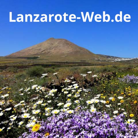 (c) Lanzarote-web.de